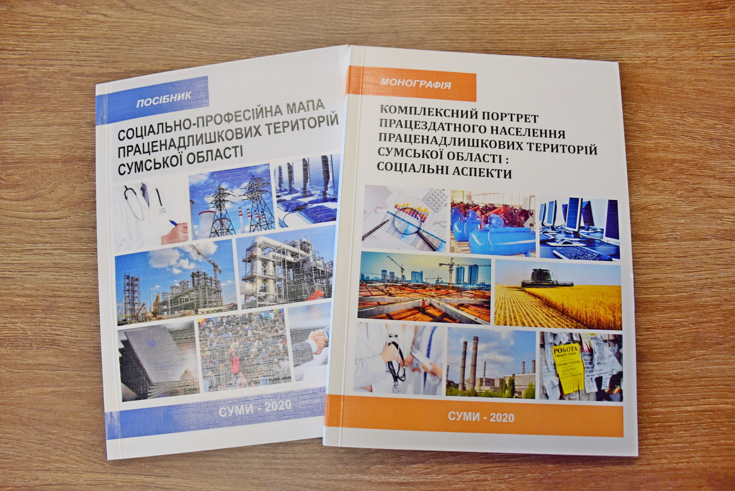 Науковці та практики обговорили проблеми праценадлишкових територій Сумщини