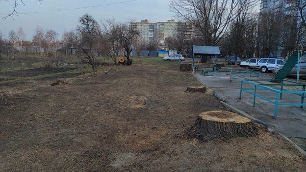 Інспекція з благоустрою звітує про роботу за І квартал 2021 року