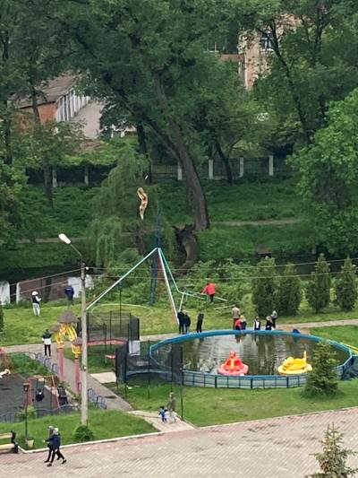 У парковій зоні впала тополя