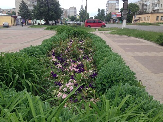 Місто повинно бути доглянутим