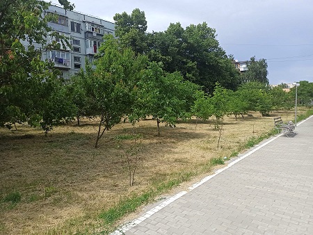 Інспекція з благоустрою звітує про роботу за ІІ квартал 2021 року