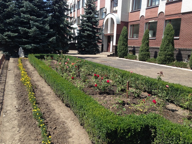 Перевірки інспекції за тиждень