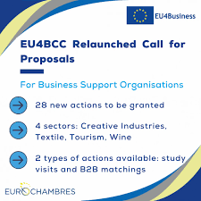 Додатковий конкурс на подачу заявок до проєкту EU4Business відкрито.