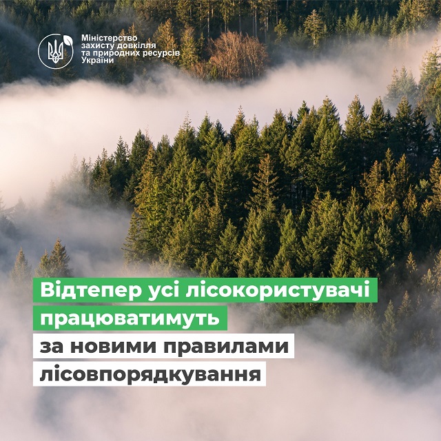 Відтепер усі лісокористувачі працюватимуть за новими правилами лісовпорядкування
