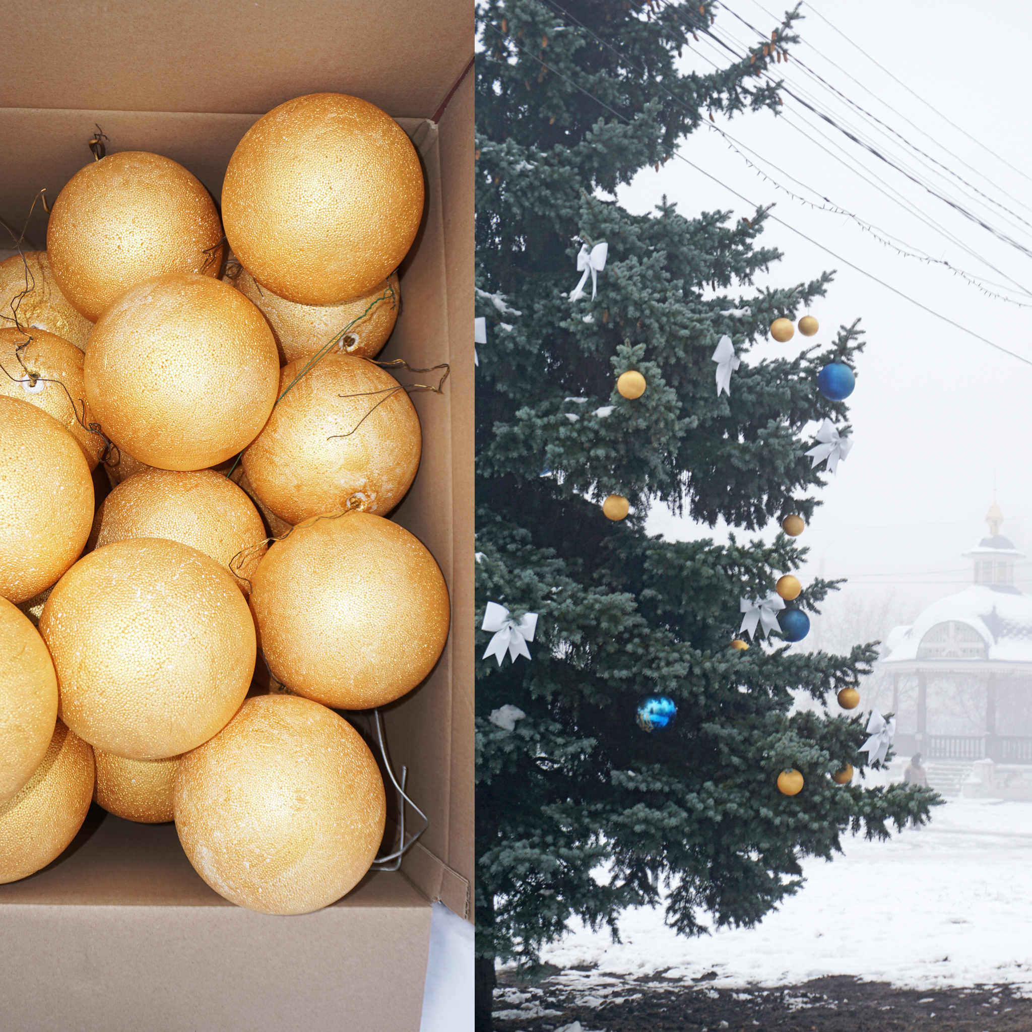 🎄ОХТИРКУ ПРИКРАШАЮТЬ ДО НОВОРІЧНИХ СВЯТ