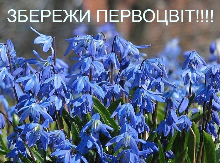 Збереження ранньоквітучих об’єктів рослинного світу