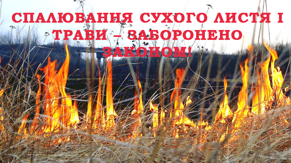 Спалювання сухого листя і трави – ЗАБОРОНЕНО ЗАКОНОМ