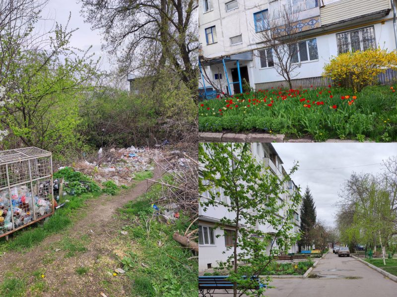 Перевірки інспекції за тиждень