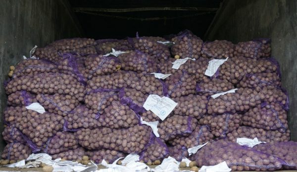 НАСІННЯ ОВОЧІВ ОТРИМАЮТЬ 875 ДОМОГОСПОДАРСТВ ГРОМАДИ