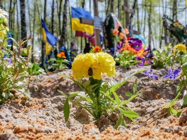 На могилах невідомих загиблих з’явилися живі квіти