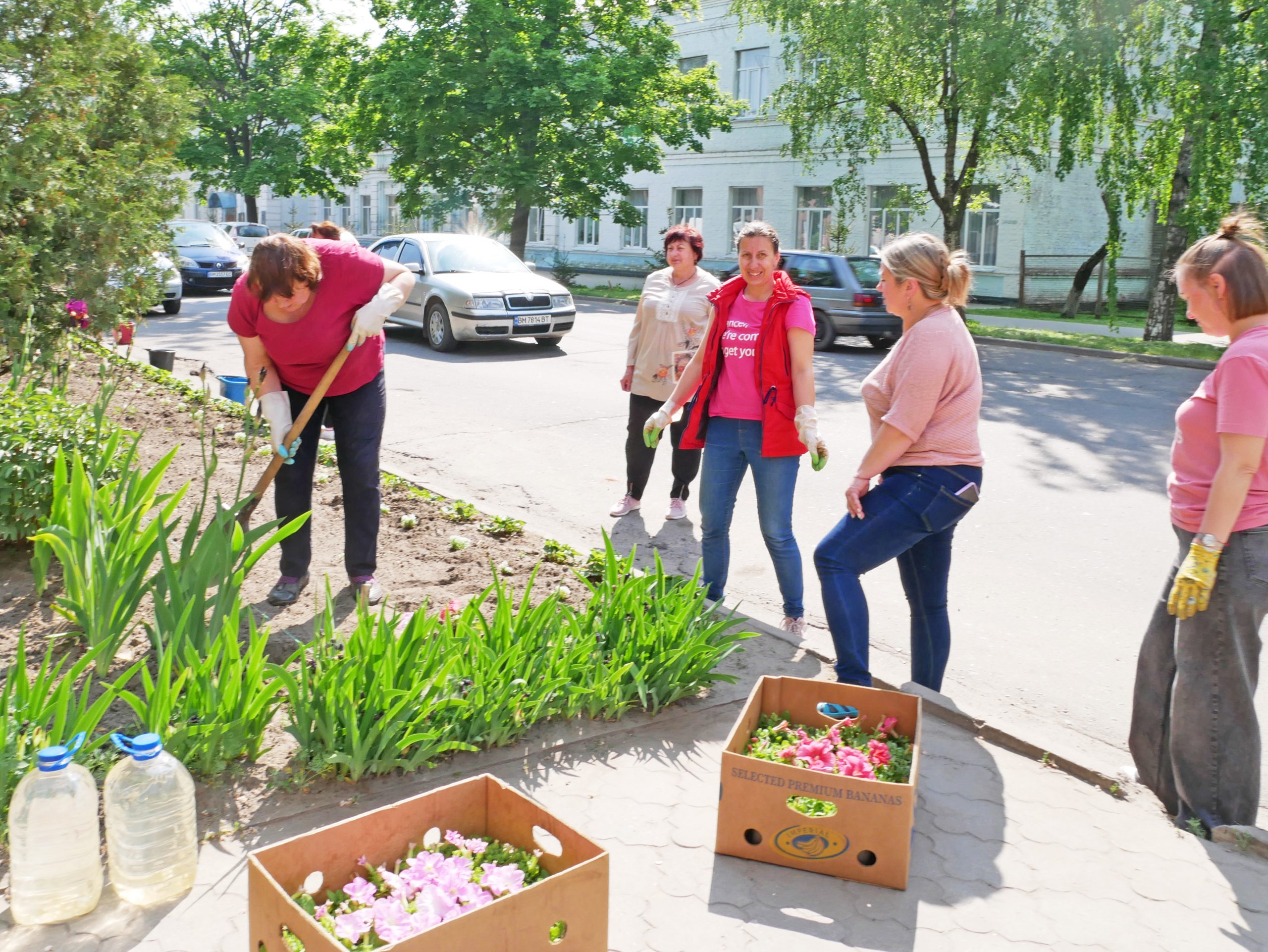 В Охтирці триває сезон весняної висадки квітів