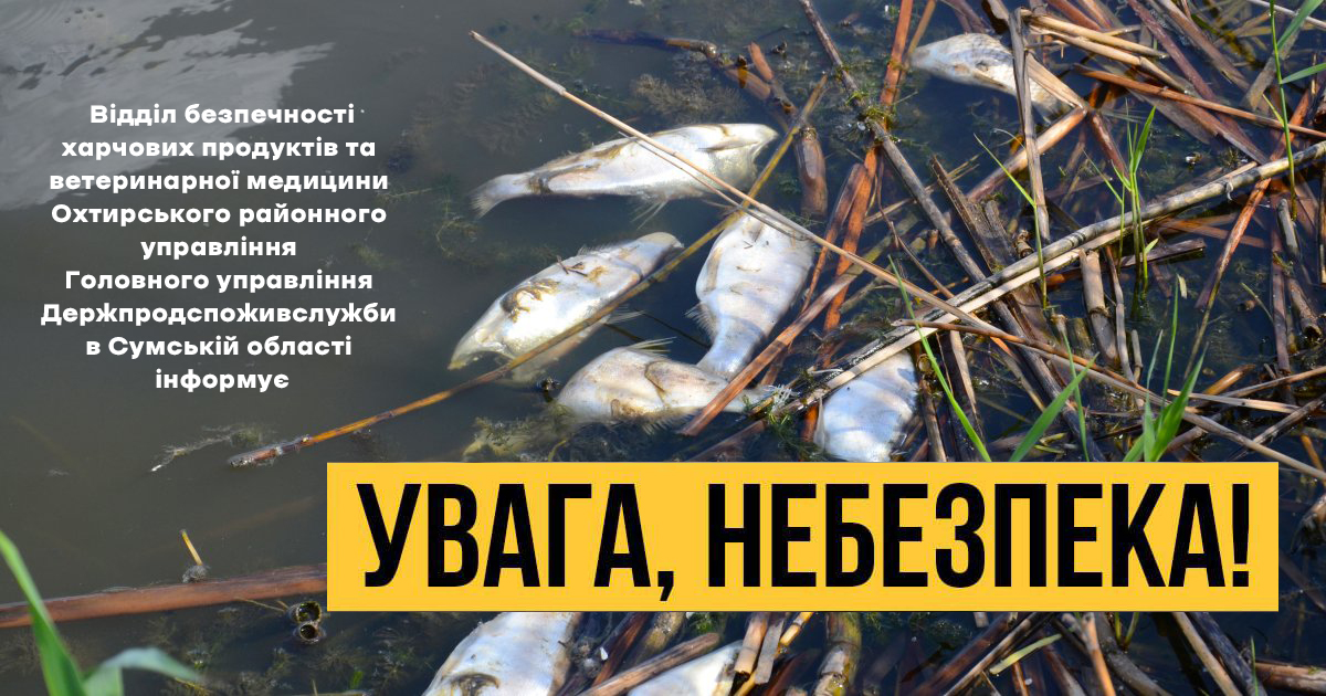 Чому зараз варто утриматися від споживання риби?