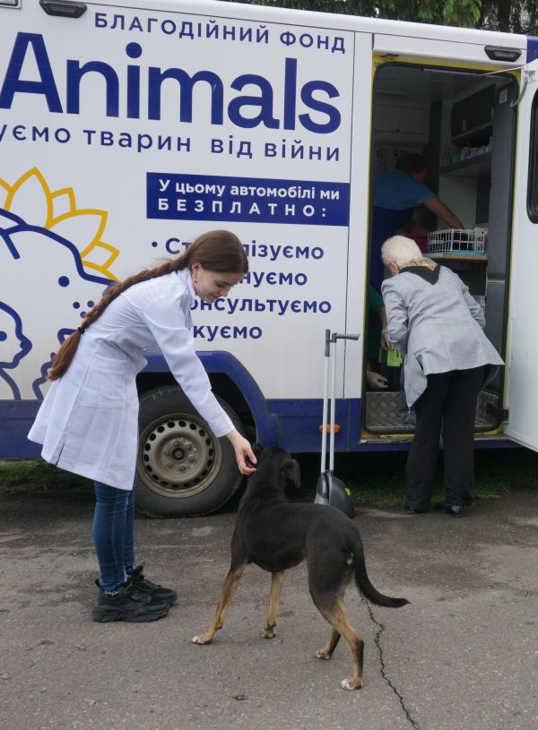 Увага! Безкоштовна стерилізація тварин!
