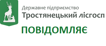Повідомлення про планову діяльність, яка підлягає оцінці впливу на довкілля
