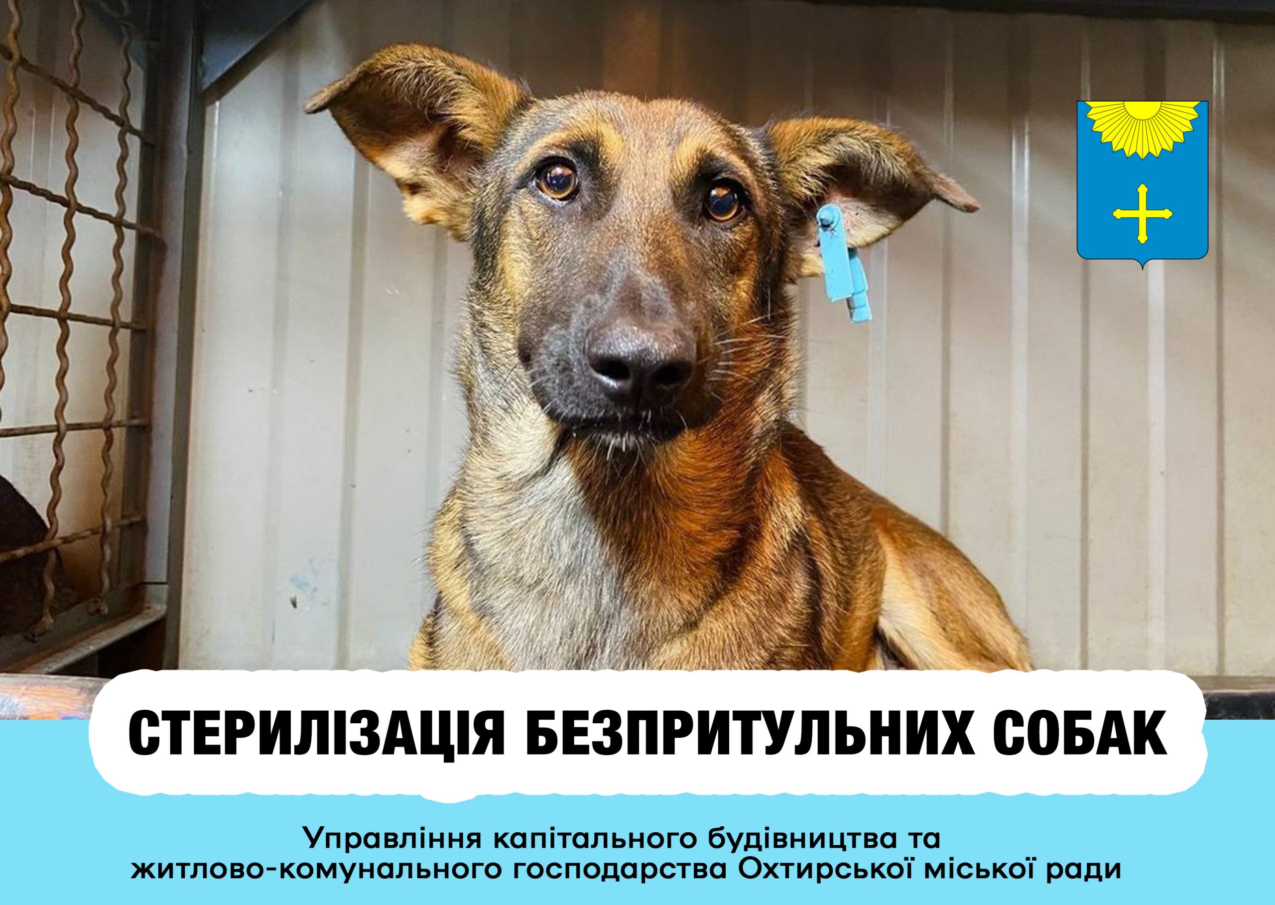 УВАГА! ТЕРМІНОВА ІНФОРМАЦІЯ!