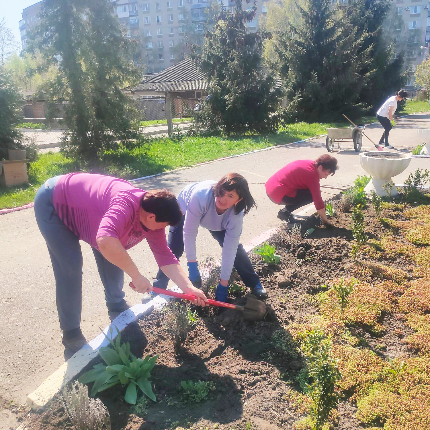 ЛАВАНДОВА АЛЕЯ В ДИТСАДКУ “КАЛИНКА”