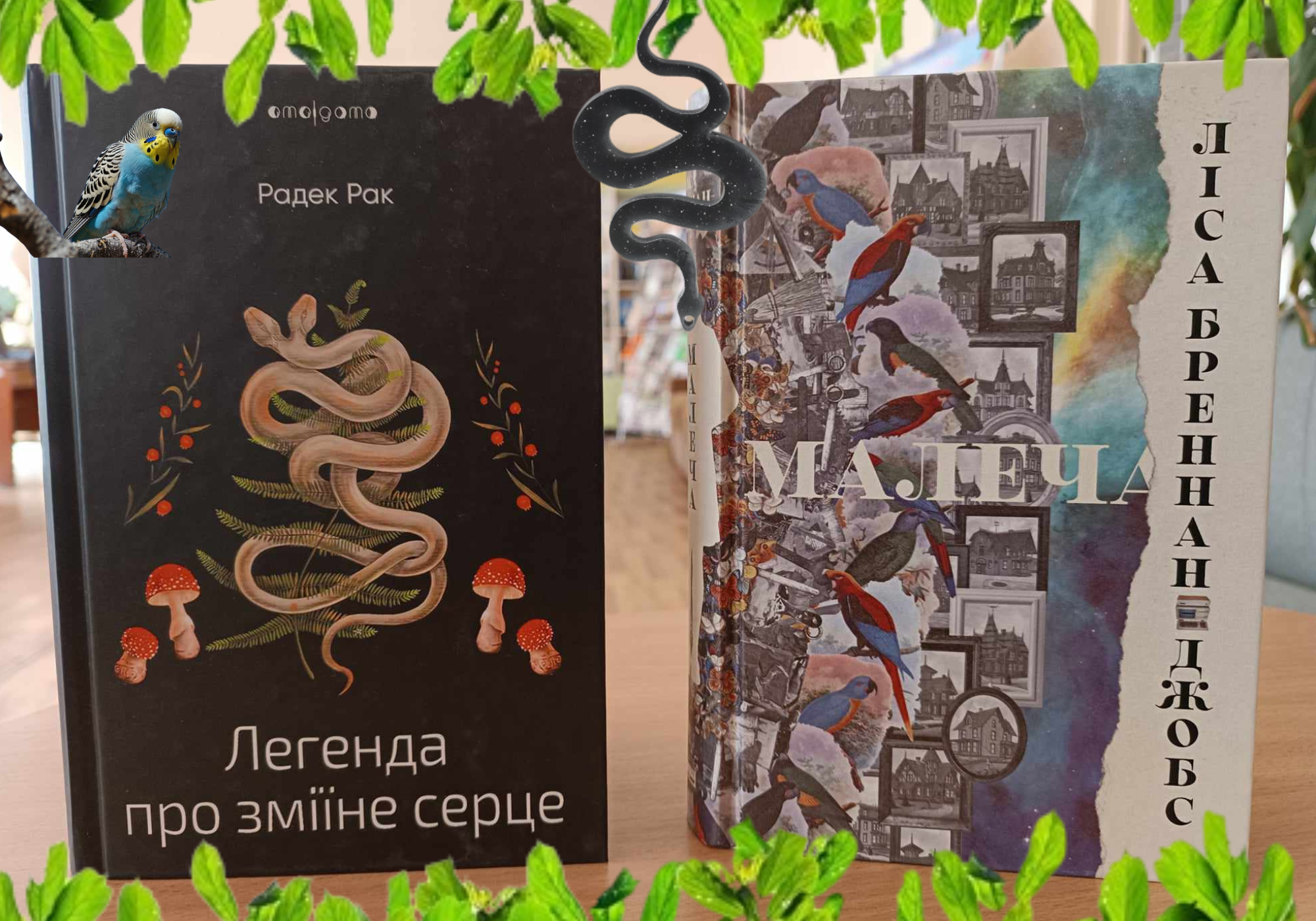 Нові книги в бібліотеці