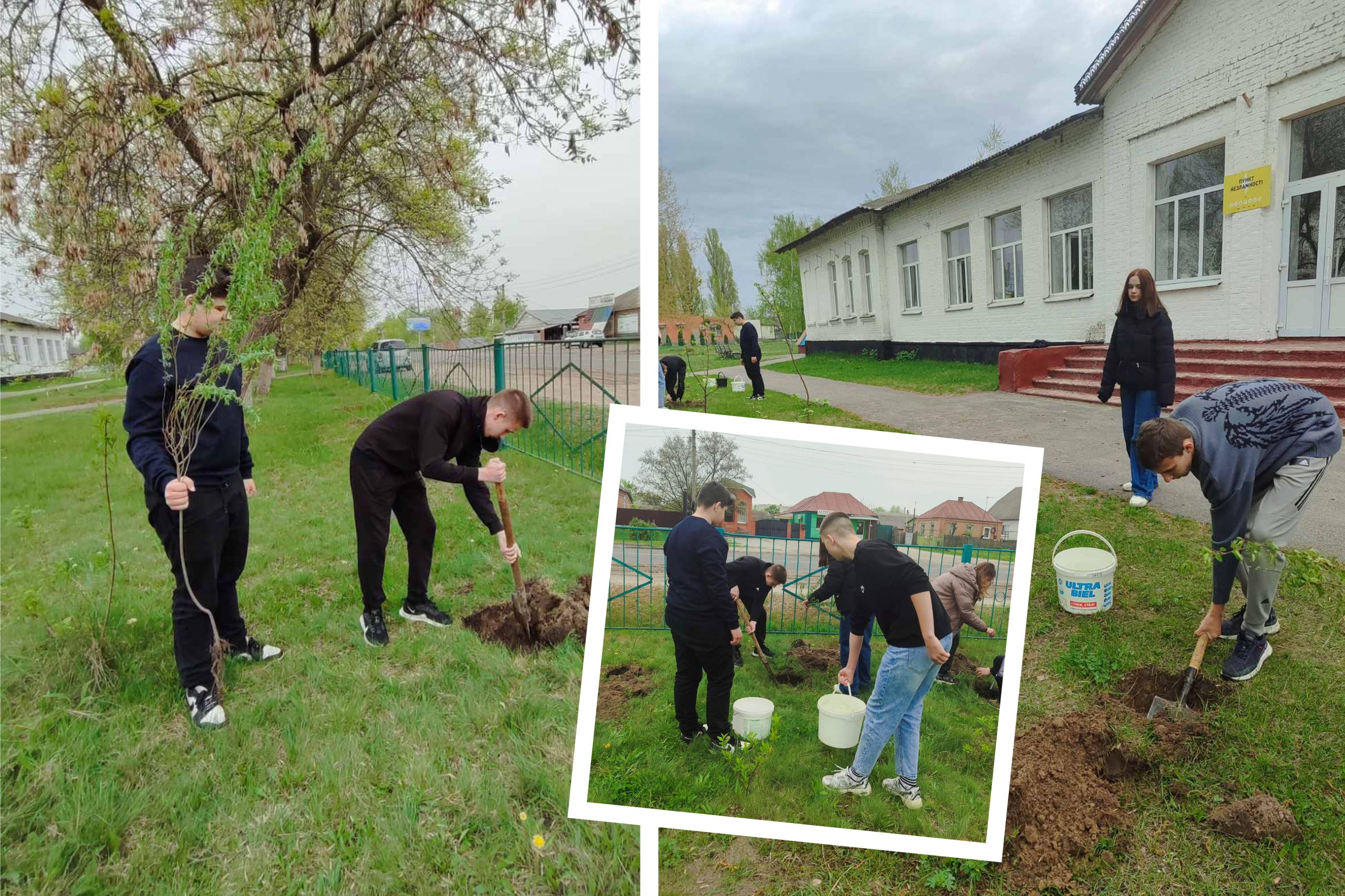 В Охтирській школі №9 висадили дерева!