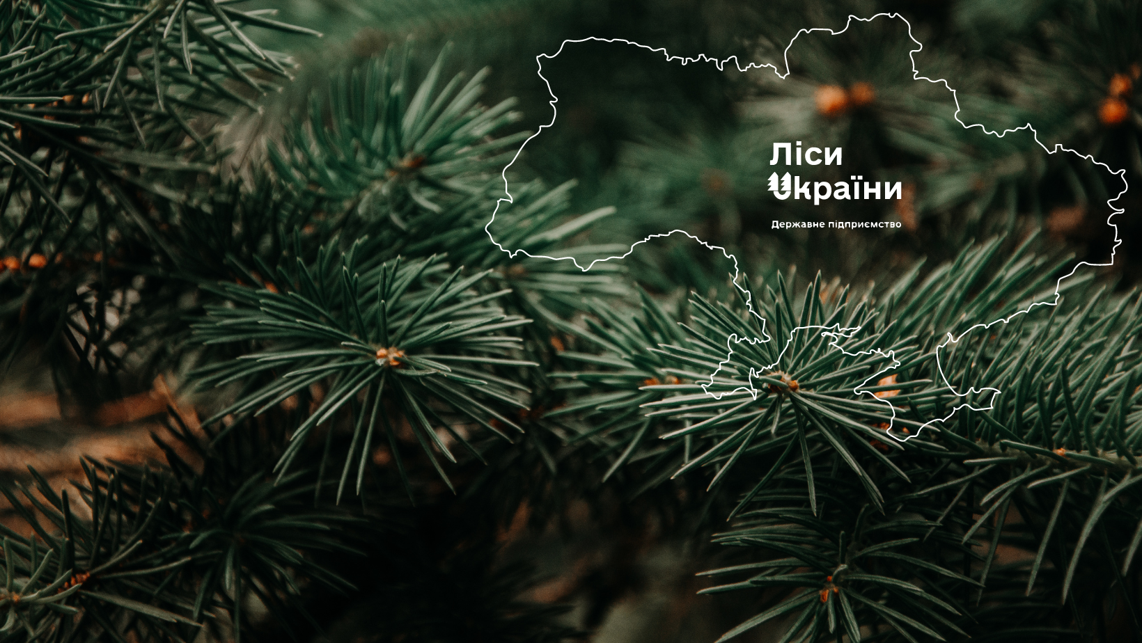 ПОВІДОМЛЕННЯ про плановану діяльність, яка підлягає оцінці впливу на довкілля