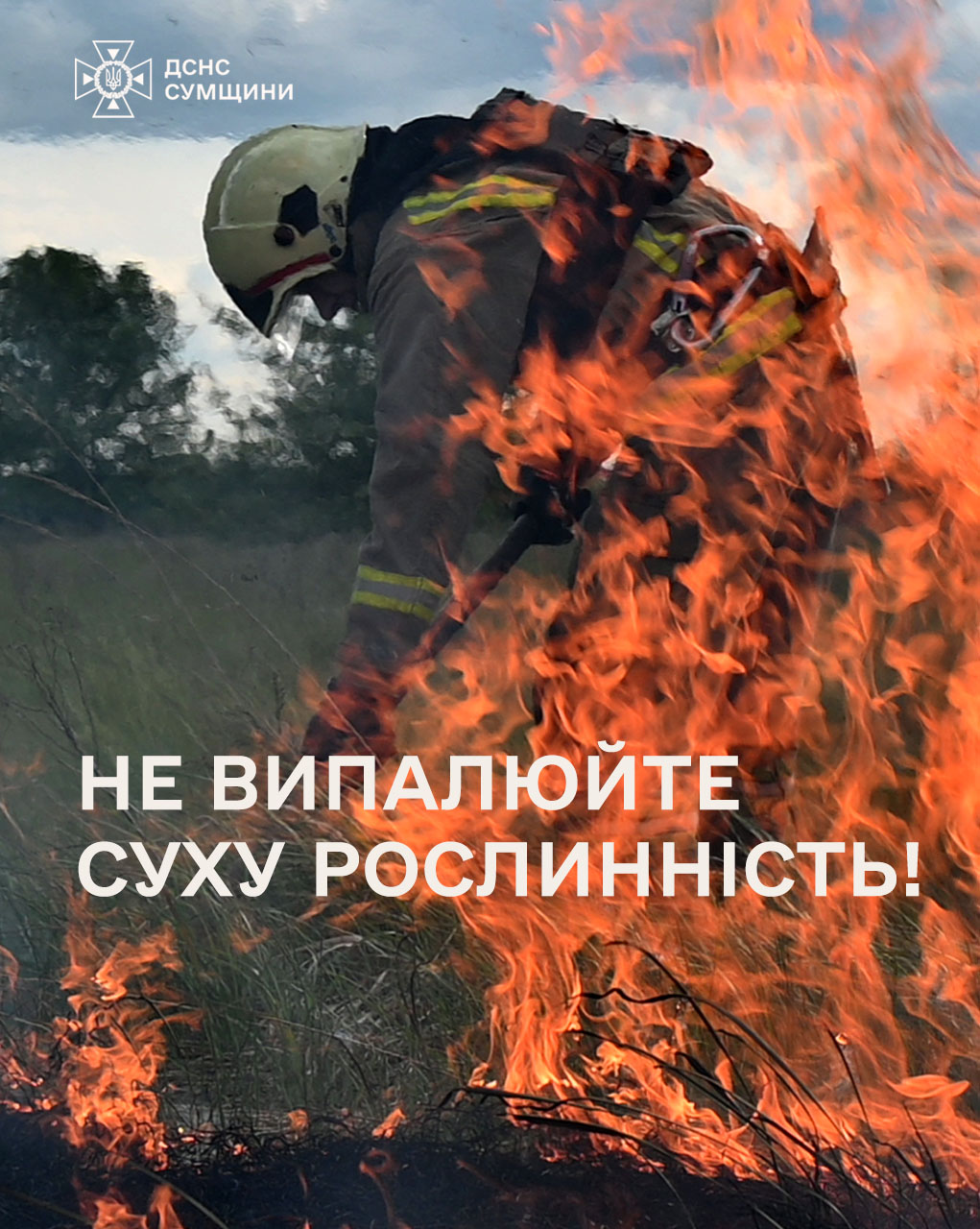 ГОРИТЬ! ГОРИТЬ! ГОРИТЬ!