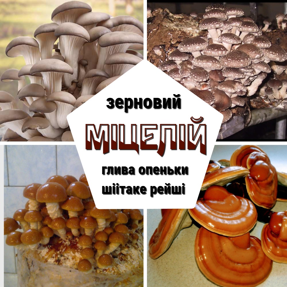 КАРАТ-БІО