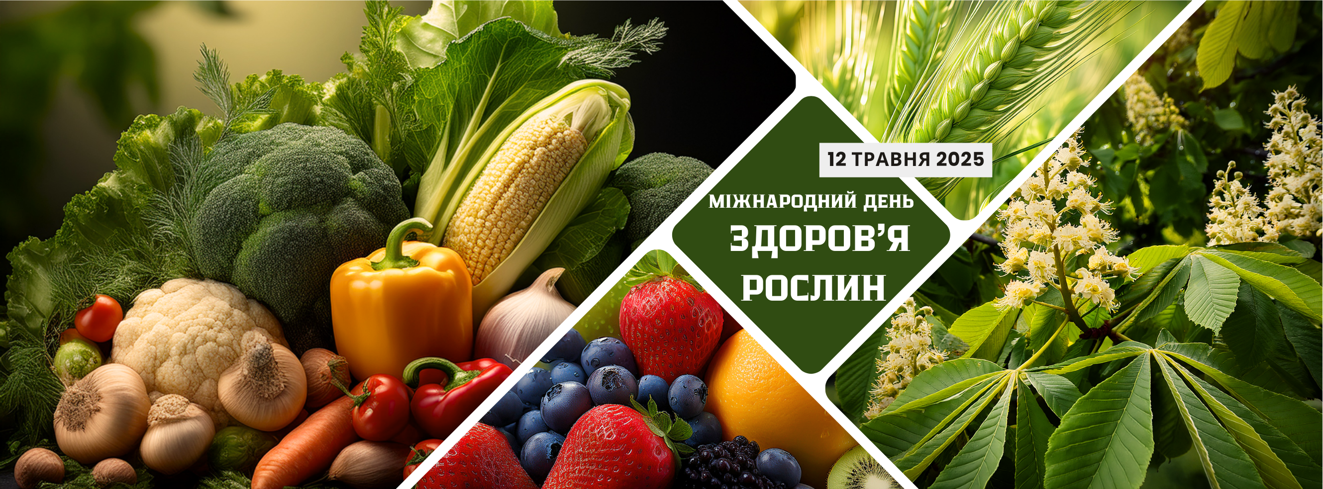 12 травня – Міжнародний день здоров’я рослин