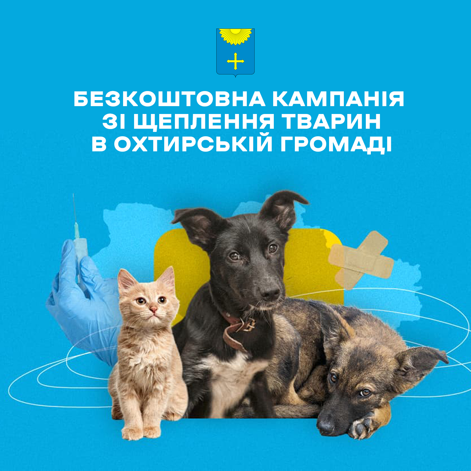 Профілактика сказу